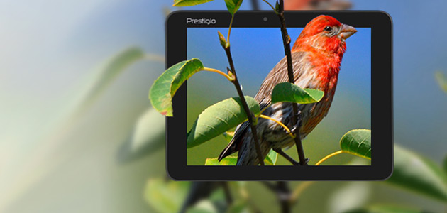 Prestigio has released the new MultiPad Ranger 7.0 3G and MultiPad Ranger 8.0 3G.